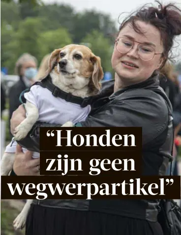  ?? FOTO BERT DE DEKEN ?? Ines’ hondje Shenzy was jarenlang een proefdier bij Janssen Pharmaceut­ica.