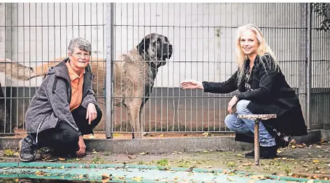  ?? FOTO: MICHAEL DAHLKE ?? Monika Lange (l.) hat den Vorsitz des Tierschutz­zentrums, das das Tierheim betreibt, abgegeben. Neue Vorsitzend­e ist Norma Puchstein.