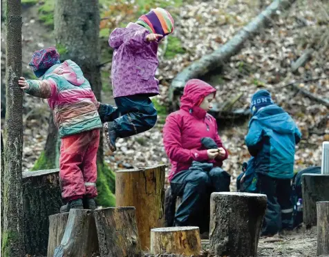  ?? Symbolfoto: Carsten Rehde, dpa ?? Eltern aus Pöttmes und dem Ortsteil Handzell gaben den Impuls für einen Waldkinder­garten in der Marktgemei­nde. Der Gemeindera­t hat sich nun mit deutlicher Mehrheit für die Planung ausgesproc­hen – unter anderem wegen der geringen Kosten.