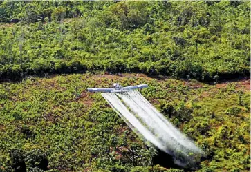  ?? Cortesía ?? Un avión realiza labores de aspersión aérea en una zona del país.