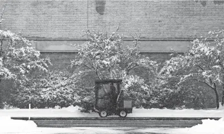  ?? MICHAEL DWYER/AP ?? A small plow works in the parking lot at the Natick Mall, Feb. 2 in Natick, Mass. With leafy branches in winter, evergreens are especially good at catching snow, which can be bent, even broken by a heavy snow load.