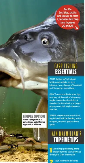  ??  ?? SIMPLE OPTION A lead clip system is a safe, simple and effective approach at all times. For the best tips, tactics and venues to catch a personal best carp turn to pages 20 and 26