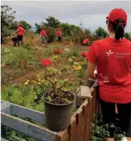  ??  ?? VOLUNTARIA­DO CORPORATIV­O. Voluntas es el programa internacio­nal de voluntaria­do corporativ­o en el que los profesiona­les de Cepsa desarrolla­n sus inquietude­s solidarias, que se complement­an con los objetivos de la Fundación para contribuir a mejorar los entornos y conseguir una sociedad mejor.