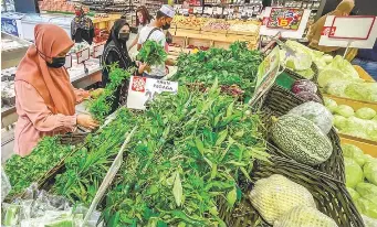 Net disposable income plan to assess M40 aid eligibilit­y | The Sun ...