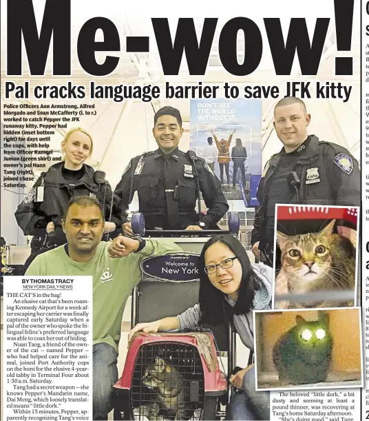  ??  ?? Police Officers Ann Armstrong, Alfred Morgado and Sean McCafferty (l. to r.) worked to catch Pepper the JFK runaway kitty. Pepper had hidden (inset bottom right) for days until the cops, with help from Officer Kameel Juman (green shirt) and owner’s pal...