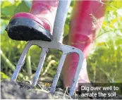  ??  ?? Dig over well to aerate the soil