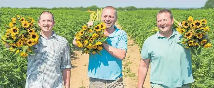  ??  ?? Sunflowers grower Richard Robinson, centre, with sons Charles, left, and Henry and an early harvest in Lincolnshi­re