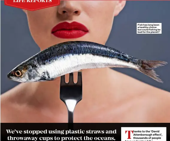  ??  ?? Fish has long been a healthy choice but could fishing be bad for the planet?