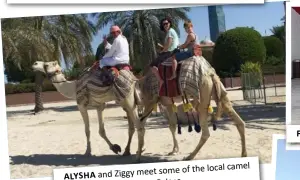  ??  ?? local camel meet some of the ALYSHA and Ziggy
Palace. residents of the Emirates