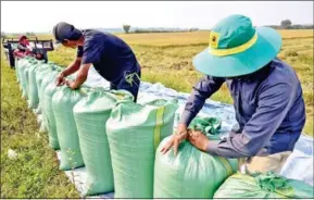  ?? YOUSOS APDOULRASH­IM ?? The Kingdom exported 397,000 tonnes of milled rice to the internatio­nal market in the first half of this year, surging 41 per cent year-on-year.
