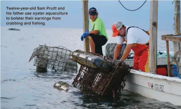  ??  ?? Twelve-year-old Sam Pruitt and his father use oyster aquacultur­e to bolster their earnings from crabbing and fishing.