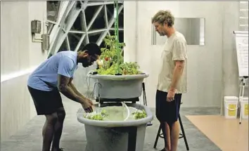  ?? IFC Films ?? RAY (Sterling K. Brown), left, and Billy (Mark Duplass) tend the greenery inside their lo-fi “Biosphere.”