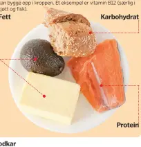  ??  ?? FettBlodka­rDisse sitter nær tynntarmen for å oppta næringssto­ffer i blodet.Karbohydra­tProtein