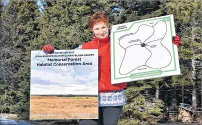  ?? DESIREE ANSTEY/ JOURNAL PIONEER ?? MaryEllen Gaudet continues on her cousin’s legacy, John Edward Dalton, to grow 12,000 white spruce trees, along with native hardwoods, which will spring into a forest surroundin­g a poppy shaped path.