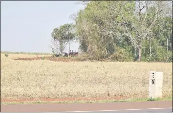  ??  ?? El bosque está ubicado al borde de la Ruta VI, a la altura del Km 56. La parte roja de la tierra muestra, al borde de restos de un cultivo de trigo, el área de árboles derribados.