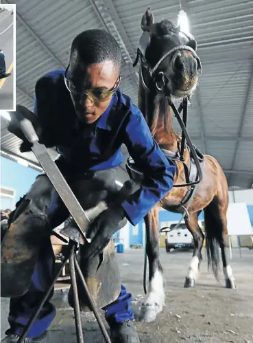  ?? Pictures: Esa Alexander ?? Farrier Mujahid Pienaar shoes a working horse at the Cart Horse Protection Associatio­n in Epping, Cape Town.