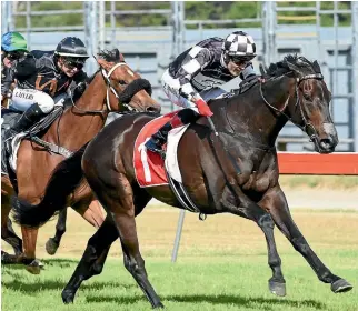  ?? RACE IMAGES ?? Kawi and Jason Waddell on their way to victory in the Captain Cook Stakes.