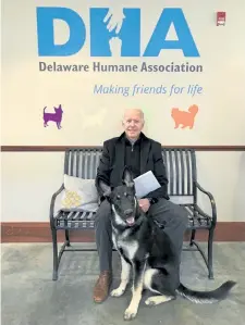  ?? Delaware Humane Associatio­n via The Associated Press Stephanie Carter, ?? Joe Biden and Major, the German shepherd he had recently adopted, in Wilmington, Del., in November 2018.