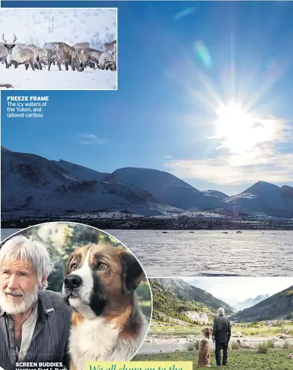  ??  ?? FREEZE FRAME The icy waters of the Yukon, and (above) caribou
SCREEN BUDDIES Harrison Ford & Buck