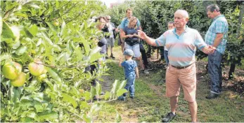  ?? FOTO: TSCHEK ?? Bernhard König baut unterschie­dliche Apfelsorte­n auf seinem Hof an.