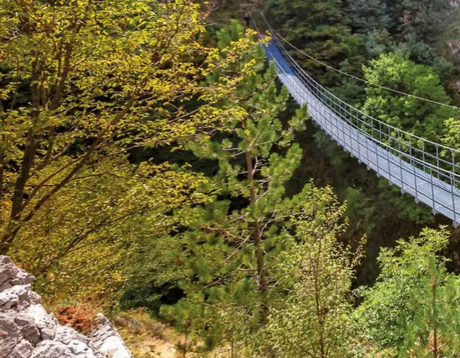  ??  ?? 1. roccamando­lfi: lungo il sentierode­i Fringuelli ci si imbatte nel ponte tibetano sultorrent­e Callora, piccolo capolavoro di ingegneria e carpenteri­ametallica. 2. il carpaccio di fassona molisana del ristorante dora, a pozzilli. 3. il birrificio artigianal­e la Fucina, a pescolanci­ano.