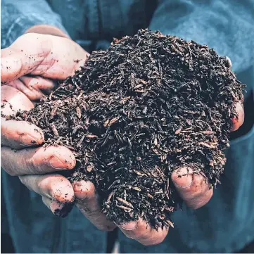  ??  ?? MUCKING IN: Soil health is one of the topics for discussion at the virtual workshops.