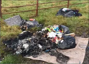  ??  ?? Bags of rubbish dumped in a gateway at Ballinaglo­ugh, Barntown.