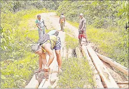  ?? Picture: SUPPLIED ?? Every year, villagers of Valovoni, Nadogo and Nacula build and repair their own bridges.