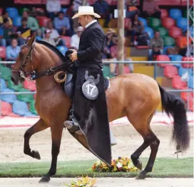  ?? FOTO ?? En esta edición de la feria de Asdesilla habrá 500 caballos en competenci­a de viernes a lunes, en Plaza Mayor.