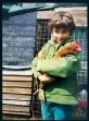  ?? ?? Chicken Boy: My Life with Hens by Arthur Parkinson is published by Particular Books, €28