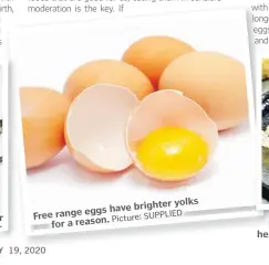  ?? Picture: SUPPLIED ?? Free range have brighter yolks eggs for a reason.