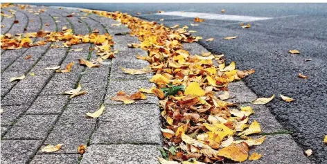  ?? FOTO: SELINA SUMMER ?? Schön, aber bei Regen gefährlich: Herbstlaub auf Gehwegen, Straßen und Plätzen.