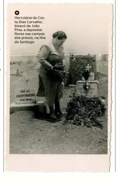  ?? ?? Herculana da Costa Dias Carvalho, bisavó de João Pina, a depositar flores nas campas dos presos, na ilha de Santiago