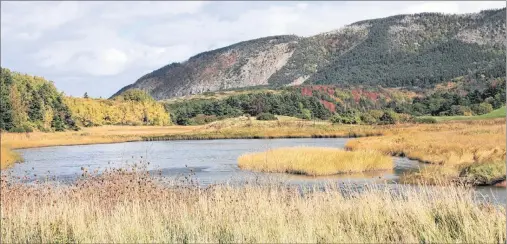  ?? SUBMITTED PHOTOS/RANNIE GILLIS ?? Here is the west side of the Mabou Highlands, taken from Mabou Coal Mines.