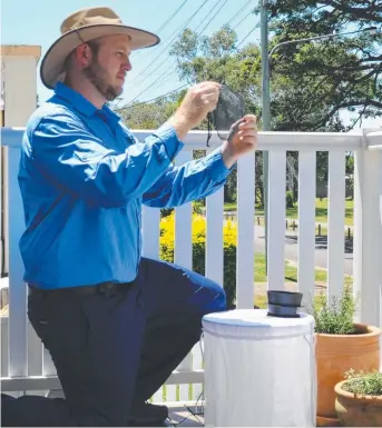  ?? SUCCESS: World Mosquito Program scientist Darren Stanford working in Townsville. ??