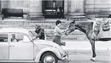  ?? Picture: Graham Burstow ?? Woman pats horse on street.