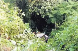  ?? CORTESÍA LT ?? El carro se quedó sin frenos en peligrosa ruta.