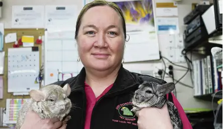  ?? PHOTO: ODT FILES ?? End of an era . . . East Road Pets pet adviser Nikki Fewster holds chinchilla­s Willow and Gizmo.