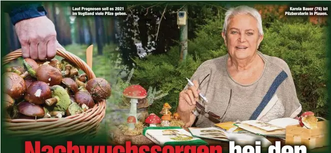  ??  ?? Laut Prognosen soll es 2021 im Vogtland viele Pilze geben.
Karola Bauer (76) ist Pilzberate­rin in Plauen.