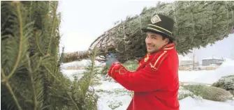  ??  ?? Le producteur de sapins de Noël Thierry Fortin et ses associés ont mis en place un service de livraison offert dans certaines régions du Québec, de l’Ontario et des États-Unis.