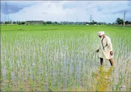  ?? HT FILE ?? The loan that will help the government write off farm debt of Rs 2 lakh each of the 10.25 lakh marginal (with up to 2.5 acres) and small farmers (with up to 5 acres).