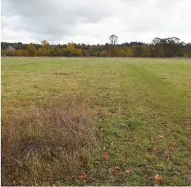  ?? ?? Battlemead Common is one of the areas involved in the pilot scheme. Ref:133980-20