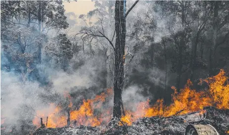  ??  ?? A bushfire tears through Maudsland yesterday, forcing firefighte­rs to protect about a dozen homes that were close to danger. Pictures: GLENN HAMPSON