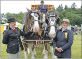  ?? Photograph: Kevin McGlynn. ?? Dalmally Show’s first woman president Marjorie Walker welcomes the Galcantray Clydesdale­s.