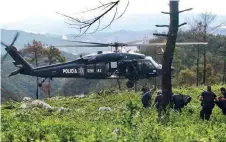  ??  ?? La Policía Federal ha destruido en sólo tres días más de 15 millones de plantas de amapola, sembradas en 100 hectáreas de la sierra.