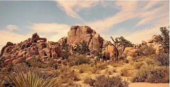  ?? ASHLYN OSWALT ?? Joshua Tree National Park, California, is just one of the wonderful national parks to explore in the US.