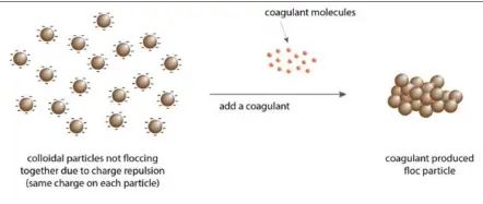  ??  ?? The coagulatio­n process.