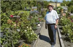  ?? Foto: Max Kramer ?? Sein Kleingarte­n an der Wertach hat für Altstadtra­t Dieter Benkard noch an Bedeutung gewonnen. Die Gartenarbe­it erleichter­t ihm seinen Rückzug aus der Kommunalpo­litik.