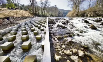  ?? (Photos Clément Tiberghien) ?? La passe à poissons et ses blocs de bétons de forme trapézoïda­le cassent la force du courant, permettant aux espèces migratrice­s de remonter l’Argens.