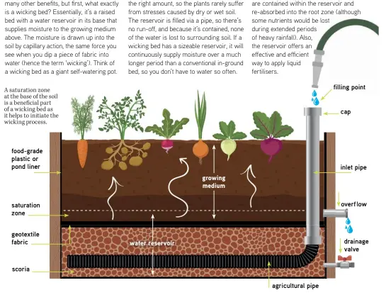 Wake up to wicking beds - PressReader